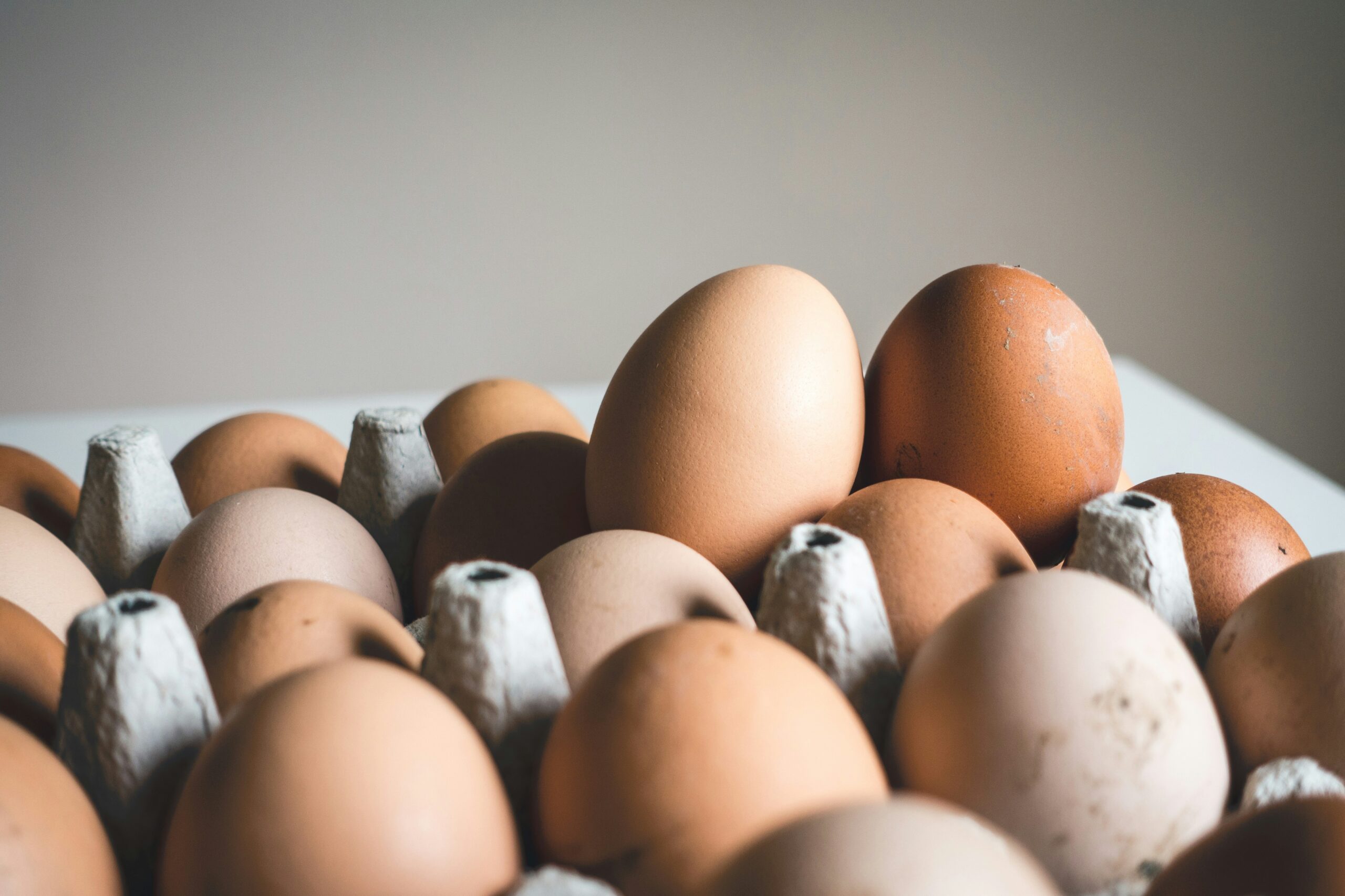 Why you should go for organic eggs