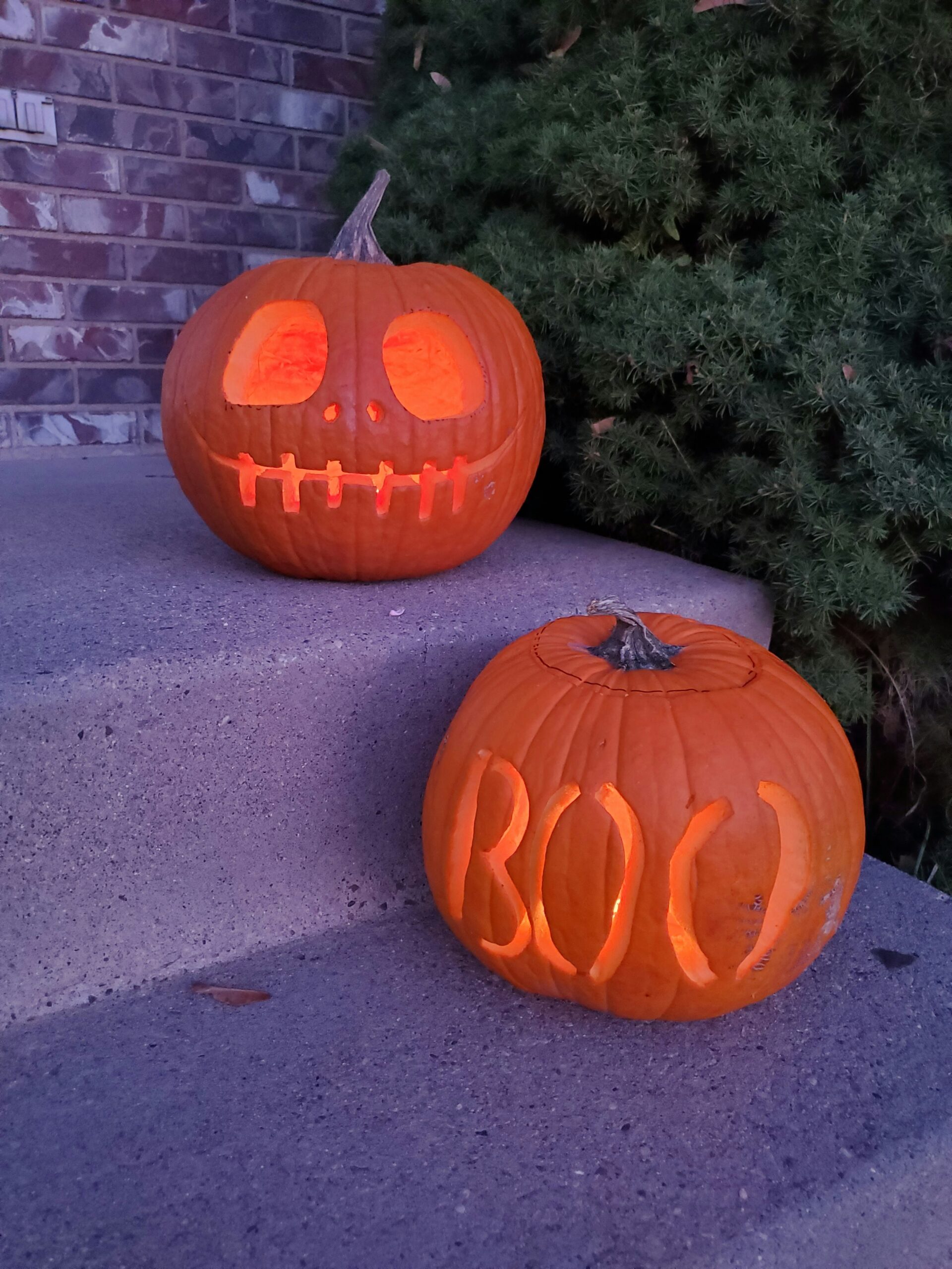 Pumpkins aren’t just Halloween frighteners